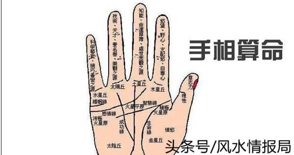 手纹掌纹学问大,正确认识手相的完整介绍