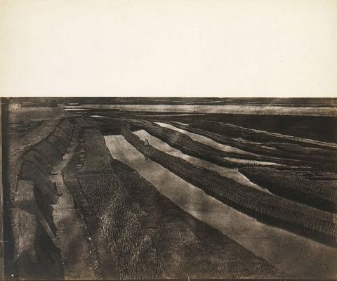 中国500强都是谁