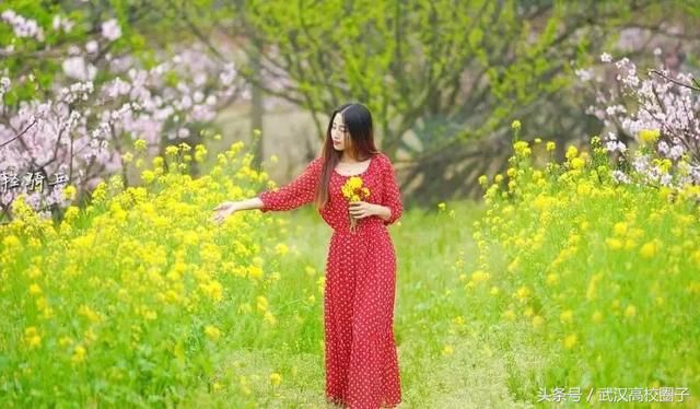 武汉30个春游免费景点大集合!踏青、骑行、拍照来这里就对了!