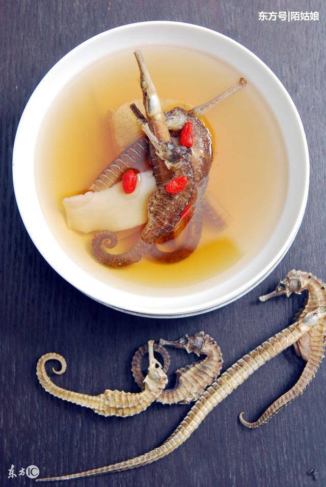 海马的功效与作用及食用方法,太好了