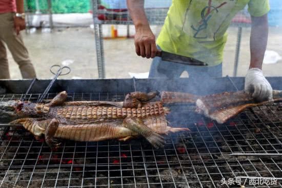 测试你的勇敢值！广西八大奇葩美食你敢尝几个？超过四个算你厉害