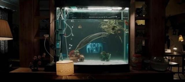 谨以此文纪念《白夜追凶》下场最悲惨的老虎,