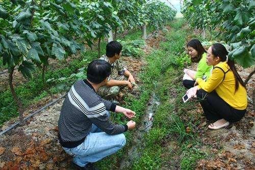 农民注意，这个证件比宅基地更重要，家家都该有，四类人拿不到