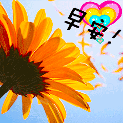 早上好,我最在乎的你,愿你每天开心满怀,幸福常在!