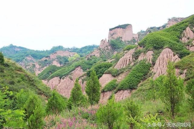 天水有一个地方，山清水秀、满山杏花，却很少有人知道