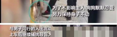 男子地铁不听劝阻多次骚扰导盲犬