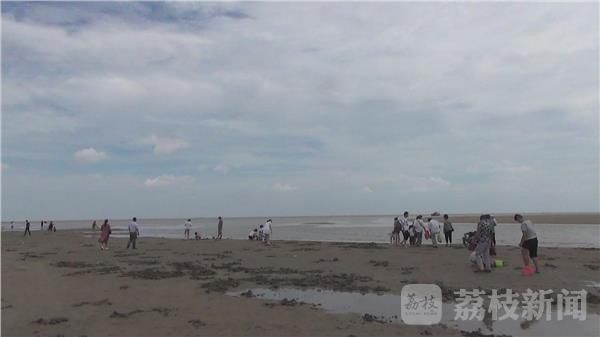 东台:弶港万鸟齐鸣 景象壮观
