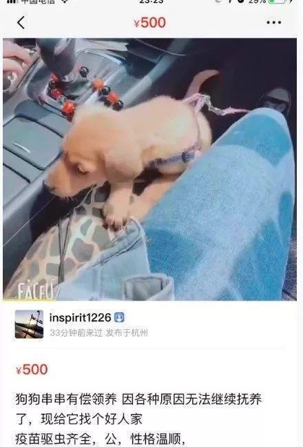 闲鱼卖东西安全吗