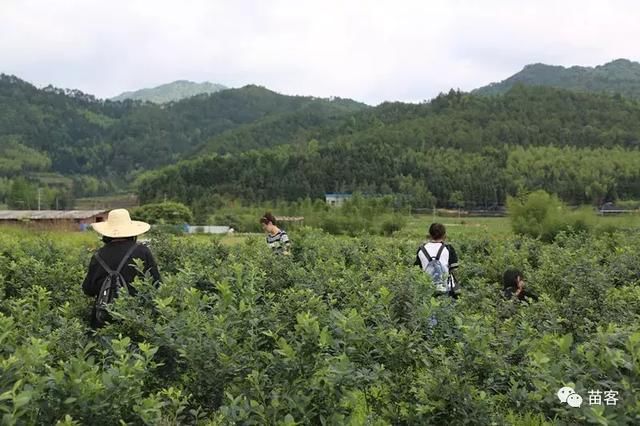 大竹周末游玩攻略,大竹周末游玩攻略大全