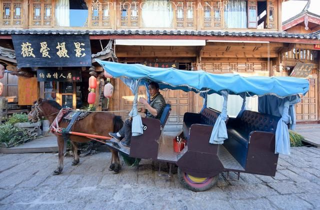 丽江的马为什么没人骑了?50元、40元便可骑着游一圈