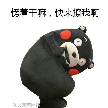 t0146c4134095b65eca.jpg