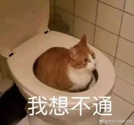 大型偷拍拉屎现场!婴儿一条有这是的v婴儿…适合发型的女生肥味道图片