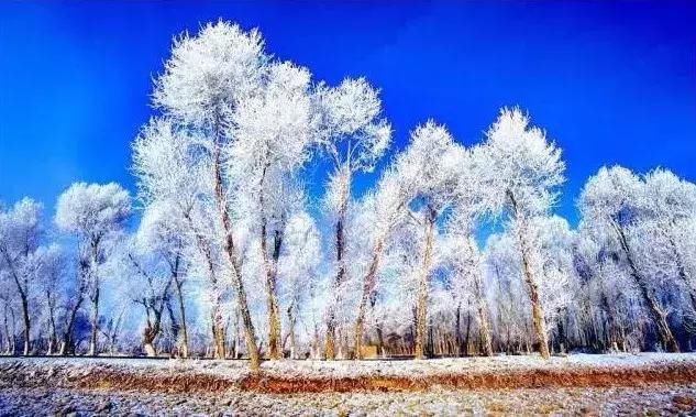 这些自驾线路你能驾御否？每条都过千公里，但景色醉人！