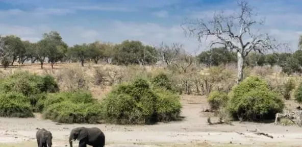 非洲10大最富有国家 经济排名