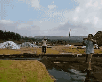 329_265 gif 动态图 动图