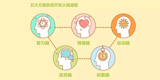 Dr. 魏新书上市啦！《给孩子的未来脑计划》来了