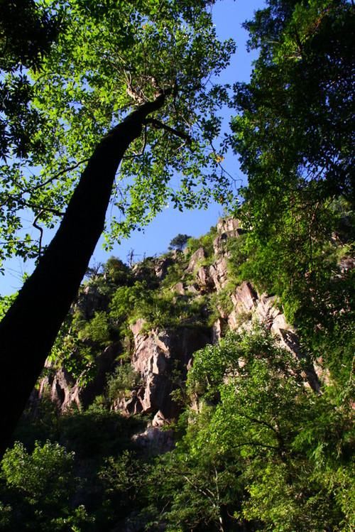 莽山国家森林公园风光