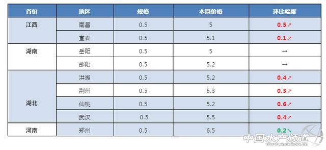 鲫鱼走俏，价格上涨明显，最高上涨0.6元！