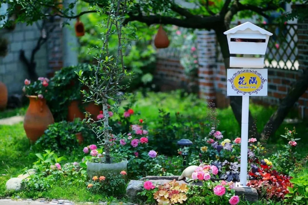 一对夫妻把青白江农家改造成“田园牧歌”，从此家有美景何必远方