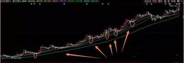 一则小故事中悟出的道理,选股只需参透一根均线足以,胜读十年书