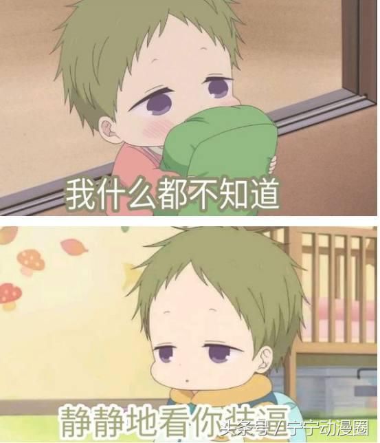 被来自漫画的软萌虎太郎,你做成下载哪部动暴表情搞笑图表走知道情图片