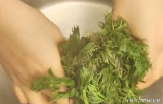 农村常见的野菜，农民却都不吃，城里人称“顶级山珍”