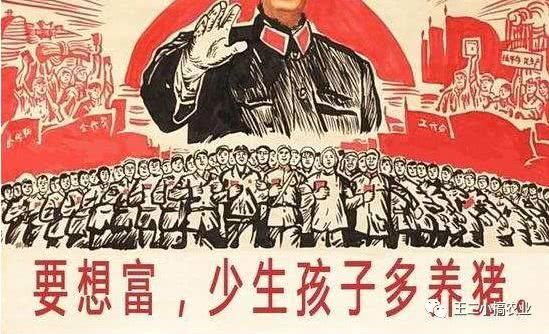 不同于养猪的叫苦连天,这些年养牛的发展一直蒸蒸日上