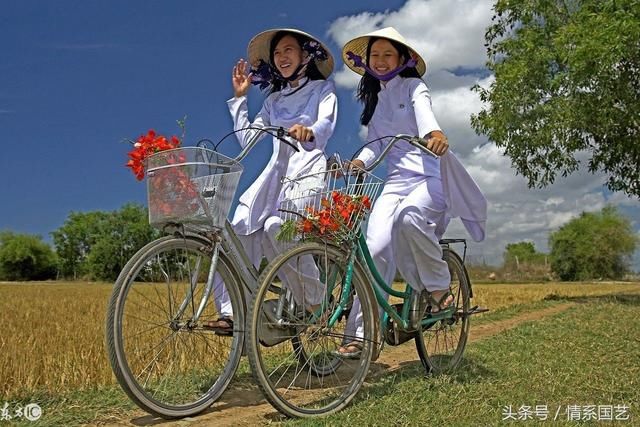 2018年总结下越南红木市场这些的发展史