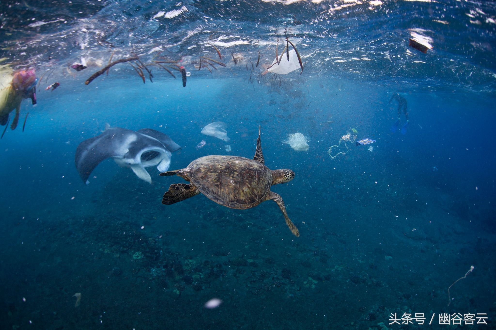 全球第一大的垃圾场:不在陆地上而在海洋里，面积相当于四个日本