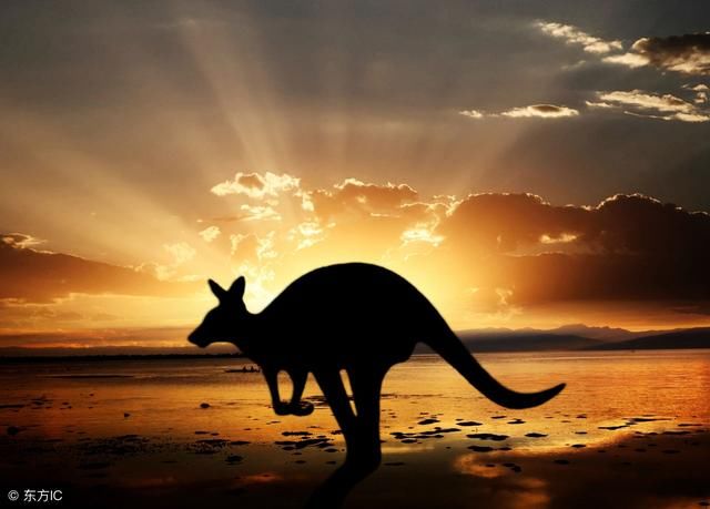 铁矿石不受待见后,澳大利亚成为美国打手将矛