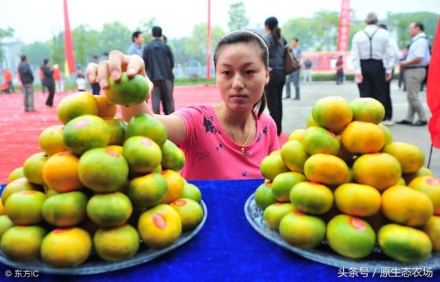 热点：今年集体土地确权颁证完成，农民朋友的认识是否存在误区？