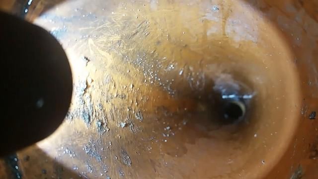 狐狸宝宝不慎掉入水管深处 绝望的狐狸妈妈无助的在四周徘徊等待