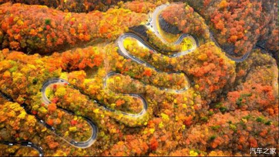 阿尔及利亚安全吗