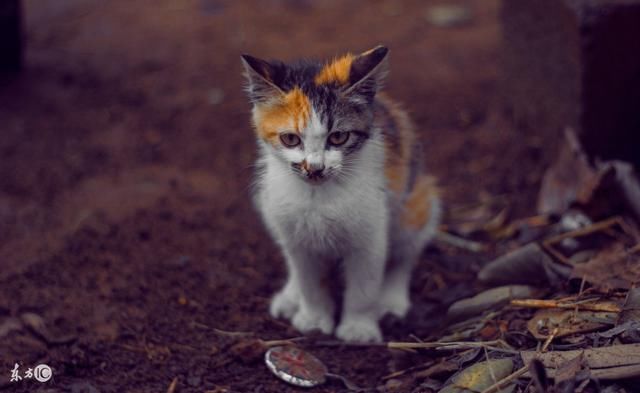 权力和金钱是人性的试金石:人生最大的智慧是