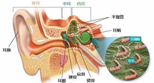 耳机我们听力的杀手