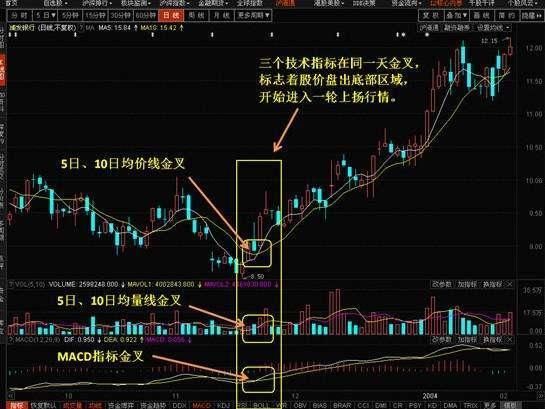 中国股市将或出现罕见大牛！专家：未来三年沪指有望突破10000点