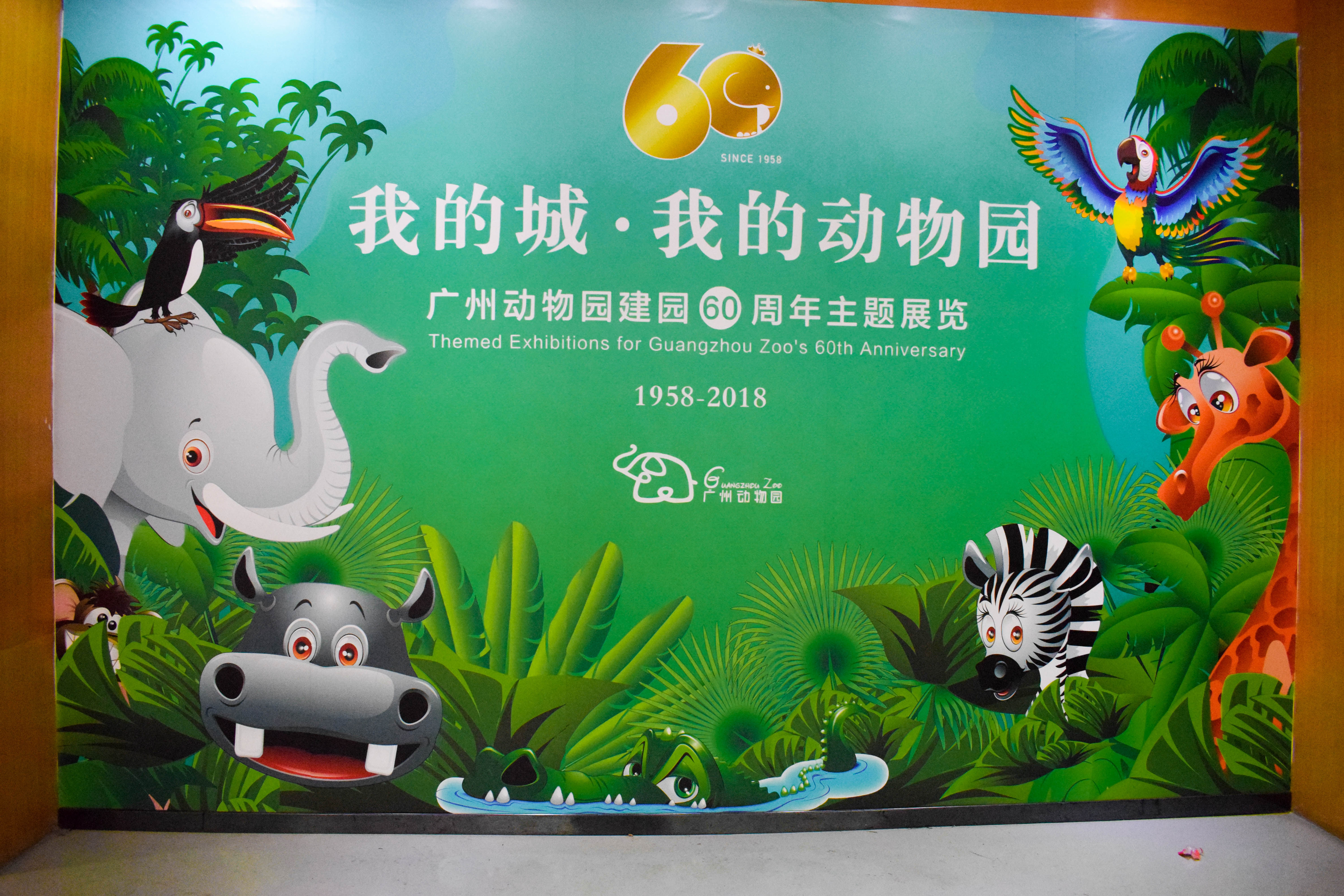 广州动物园,快来看大熊猫长颈鹿,20块门票性价比很高