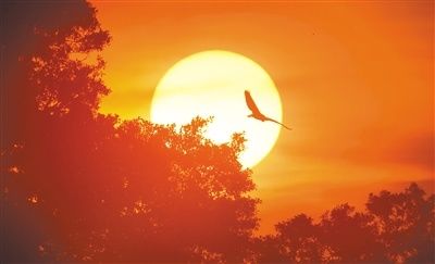 龙舟水将至 今年有点强