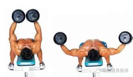 最新哑铃锻炼胸肌动作图解大全