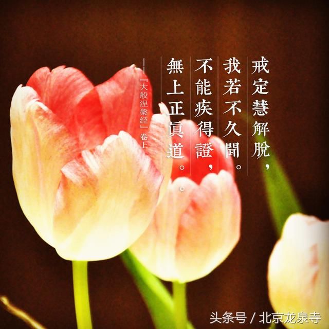 明师难遇，且行且珍惜