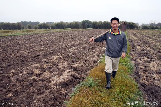 2018年,这些地方的农民不用种地,却能分享50亿财政补贴!