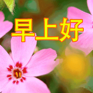 微信早安问候语 最新早上好问候语动态图片大全