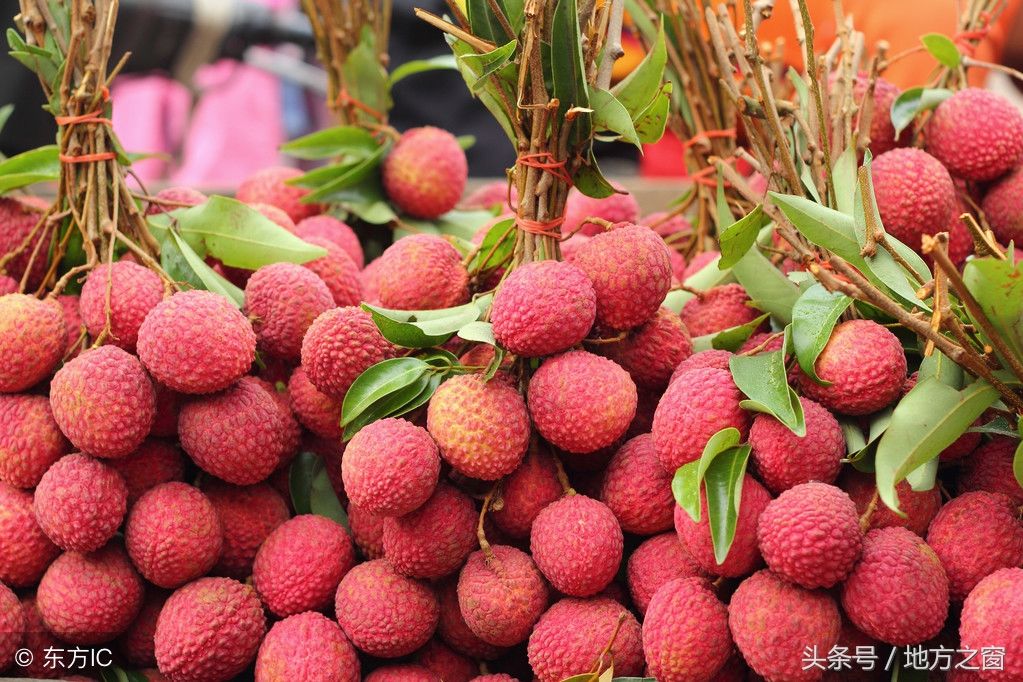 广西荔枝滞销,5毛一斤无人问津,外地网友:我们