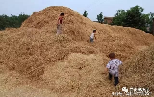 又到一年麦收时!看着这些农村麦收照片，经历过的人不由热泪盈眶