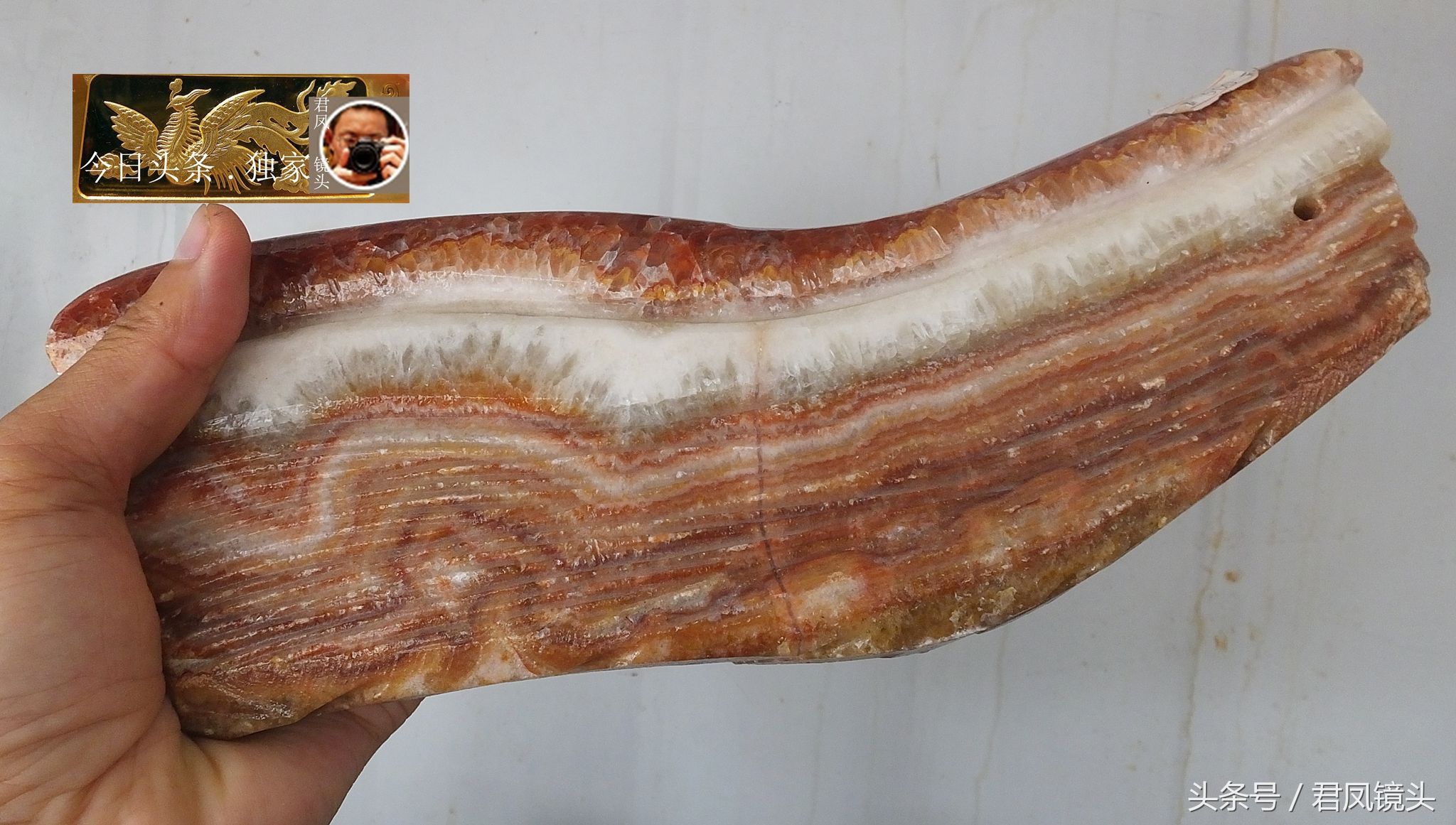 奇石摄影:园林景观石长相奇异!“大展宏图”售价580万元!