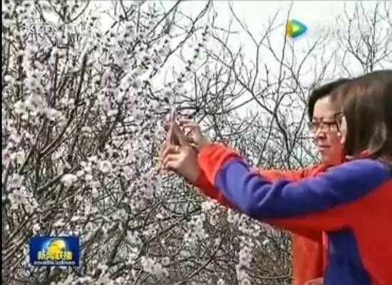 清明节小长假不知道去哪玩?郑州周边1-3日游线