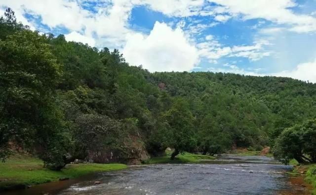 这才是3月最值得去的地方！最近的就在市内，周末就出发！