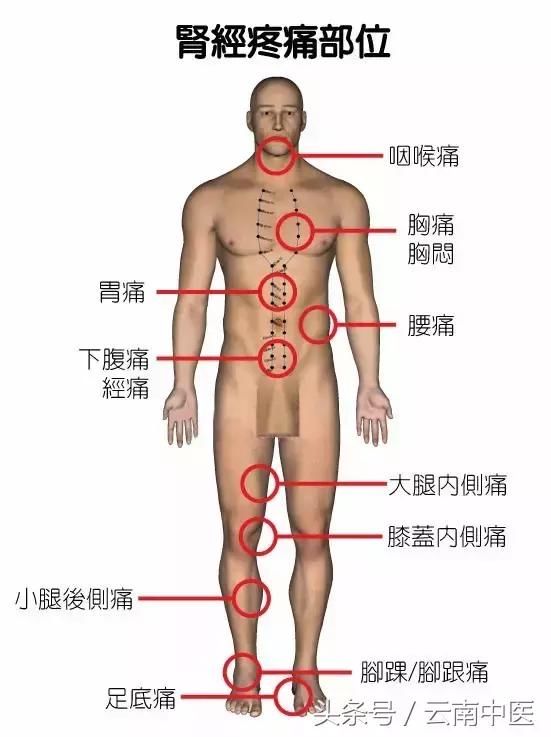 哪里有不适，就可能是哪里的经络出问题了