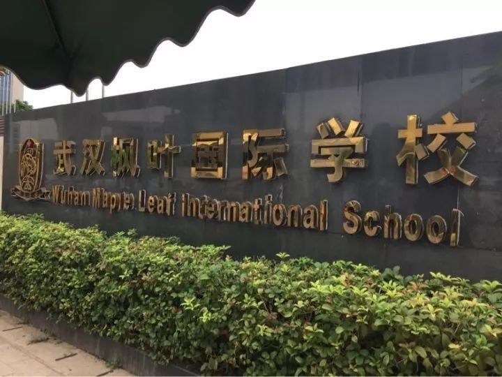 壕!一年学费20万,武汉这8所国际学校上榜了!