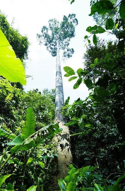 7天6晚，玩转傣历新年泼水盛会